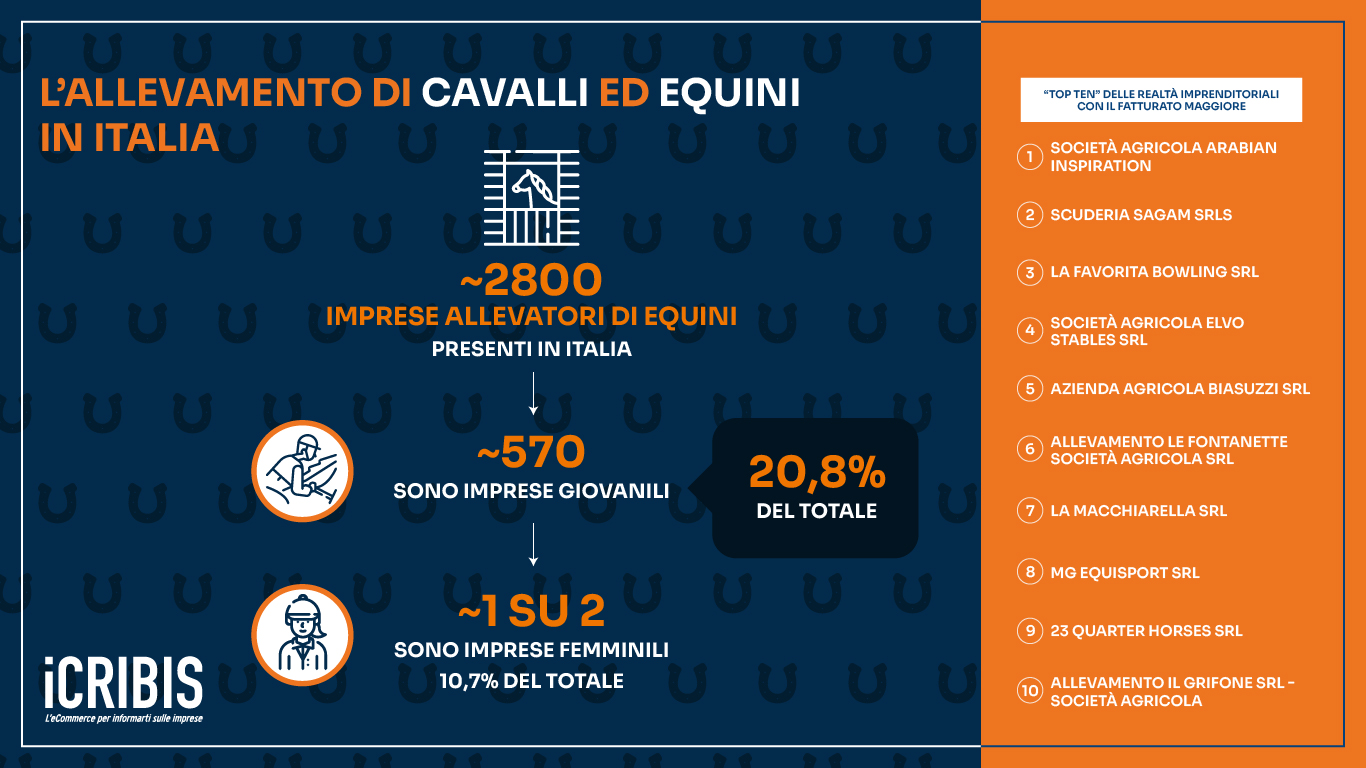 infografica