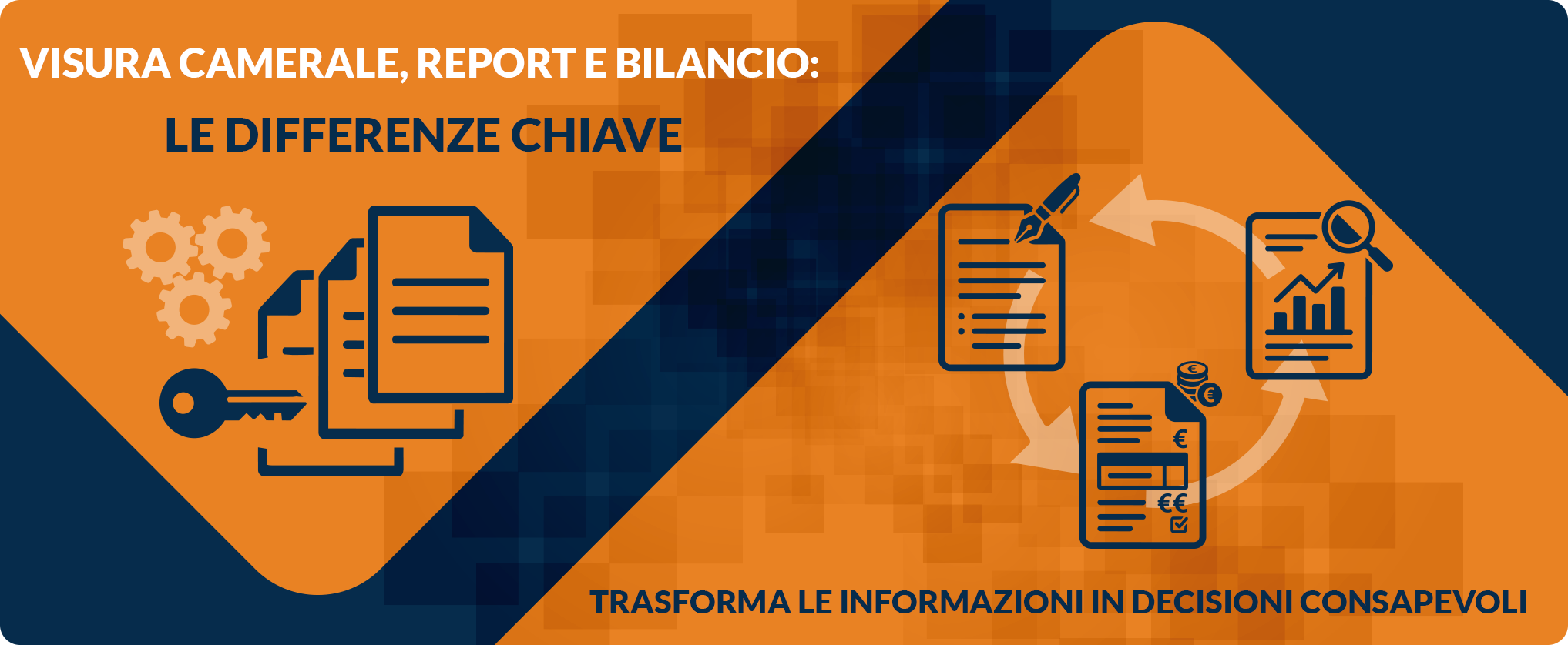 infografica