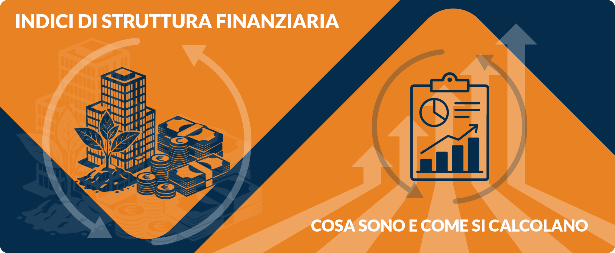 infografica