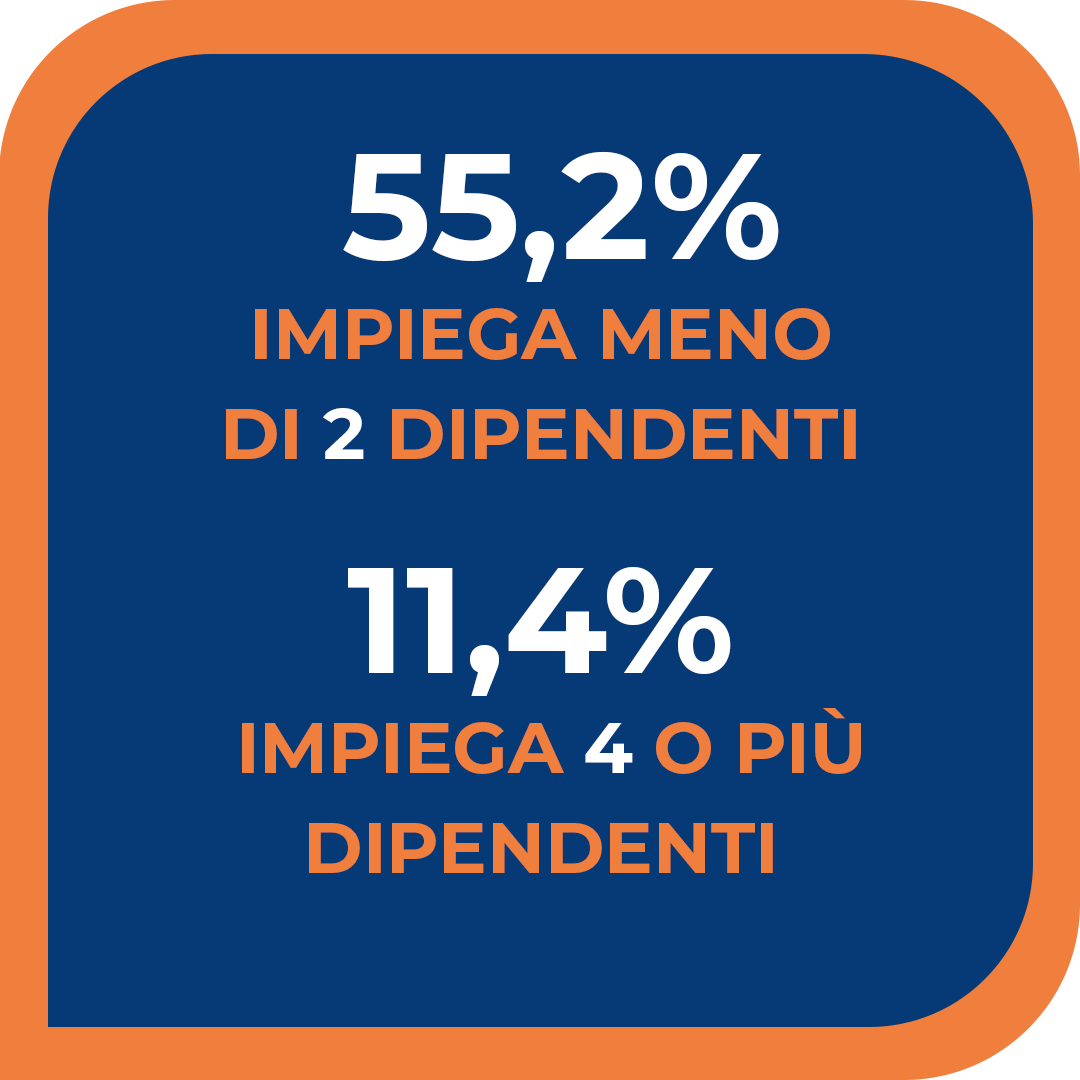 occupazione
