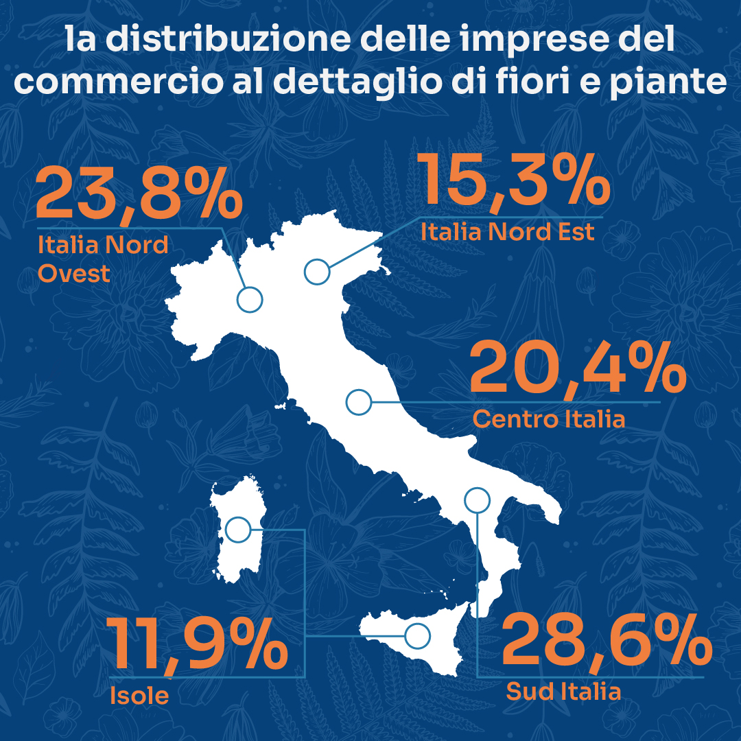 distribuzione